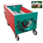 Green walnut peeling and cleaning machine